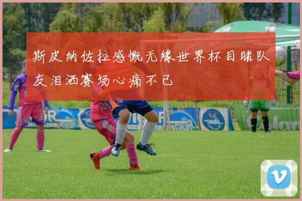 斯皮纳佐拉感慨无缘世界杯目睹队友泪洒赛场心痛不已