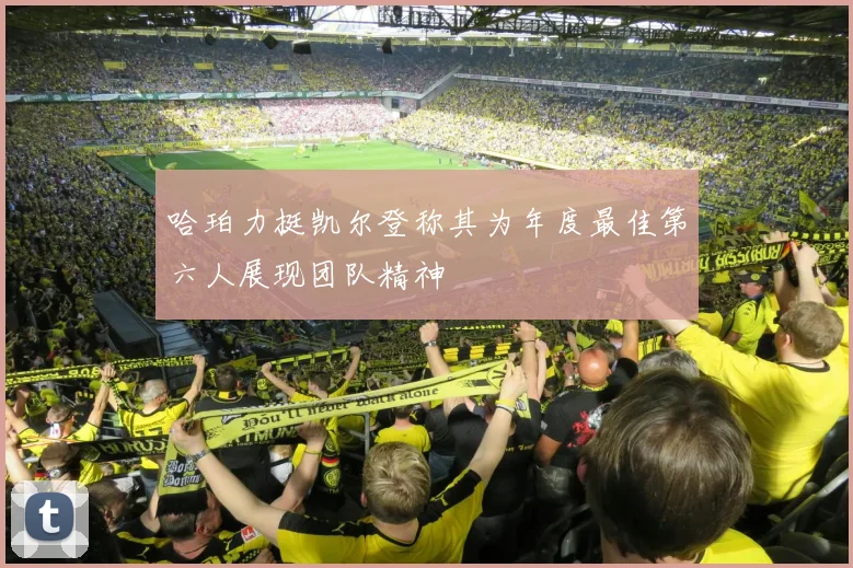 哈珀力挺凯尔登称其为年度最佳第六人展现团队精神